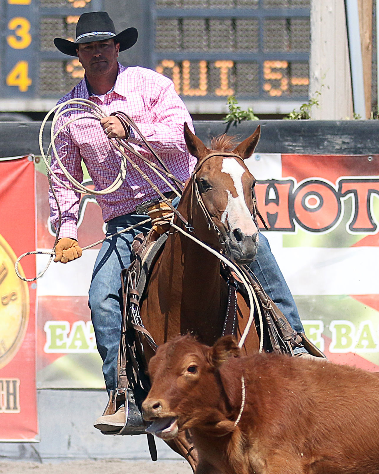 2018 Elko County Fair Open Branding Finals (6).JPG